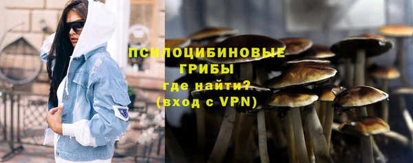соль ск Ессентукская