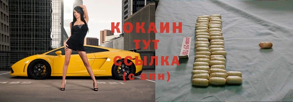 гидра Коряжма