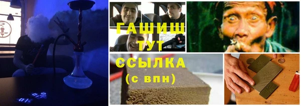 гидра Коряжма