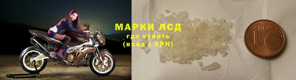 гидра Коряжма