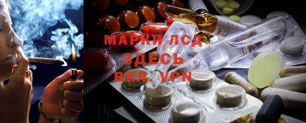 гидра Коряжма