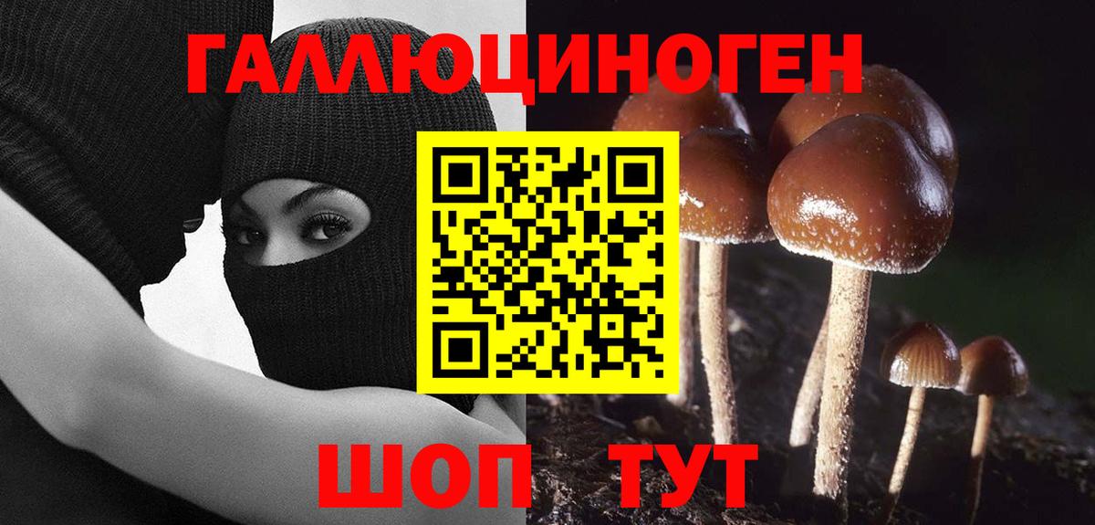 Чапаевск  Псилоцибиновые грибы мухоморы  Вход с VPN 